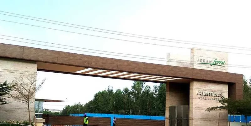 Alembic Cloud Forest