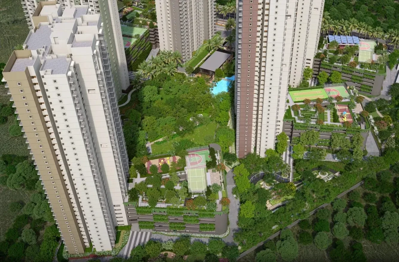 Alembic Cloud Forest