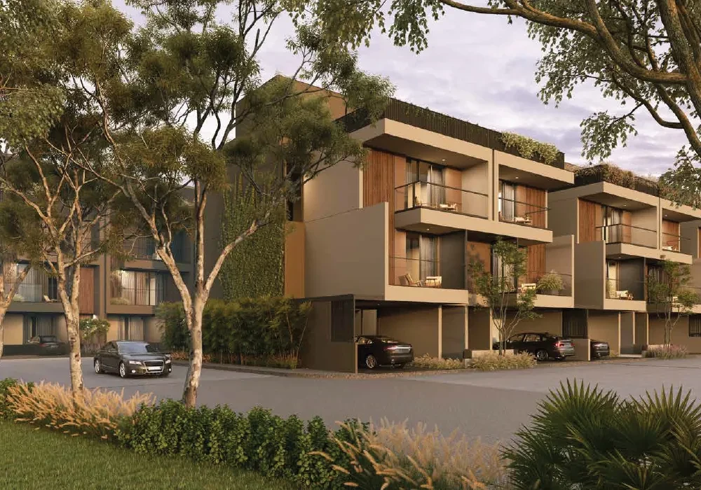 Arvind Forest Trails