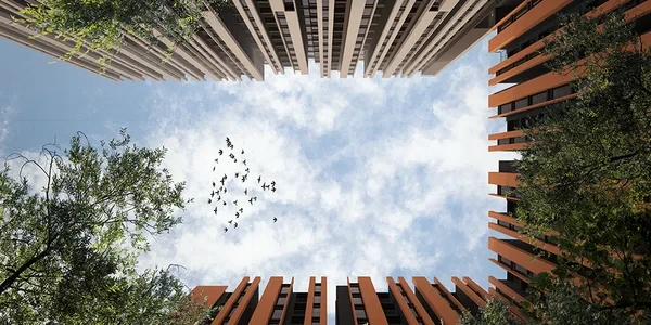 Assetz Canvas and Cove