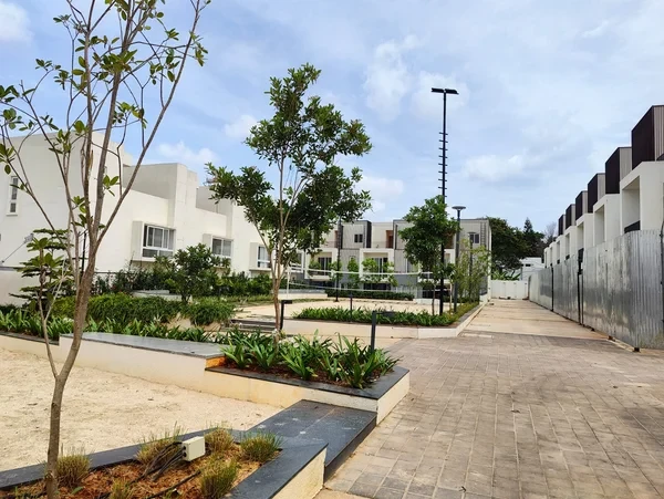 Assetz Soul and Soil