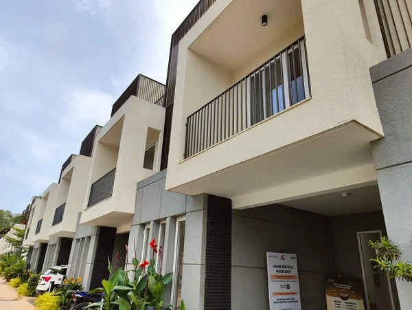 Assetz Soul and Soil