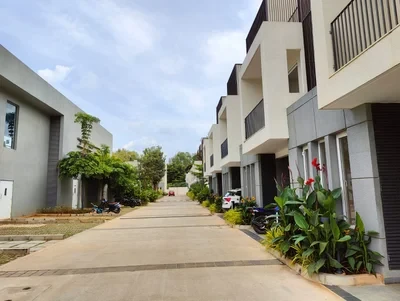 Assetz Soul and Soil