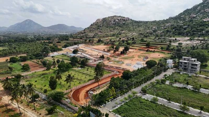 Bhumis Manifest Harihara