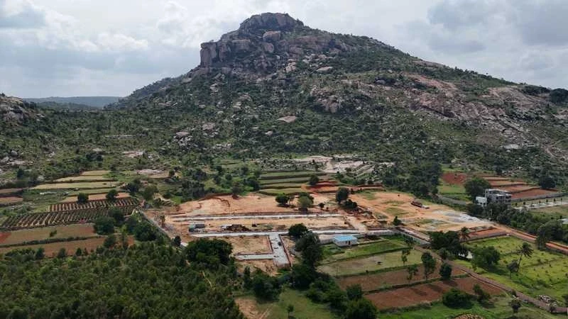 Bhumis Manifest Harihara