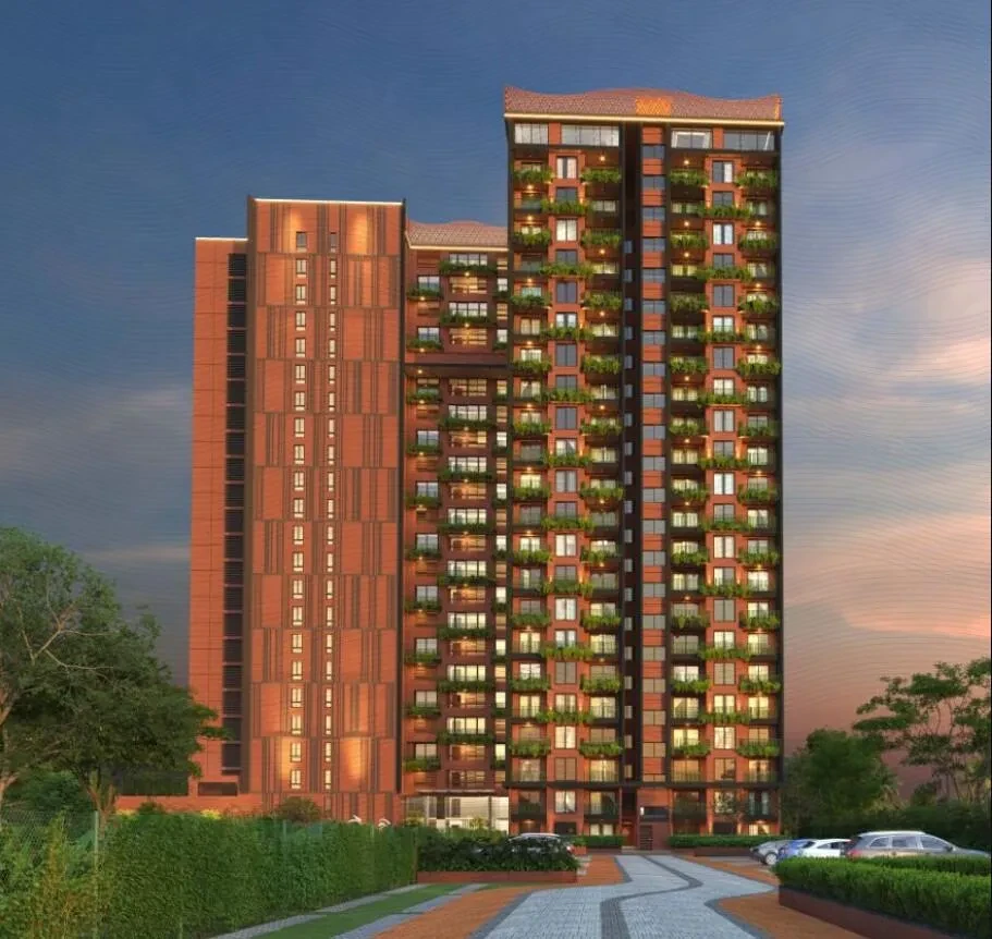 CoEvolve Misty Shores