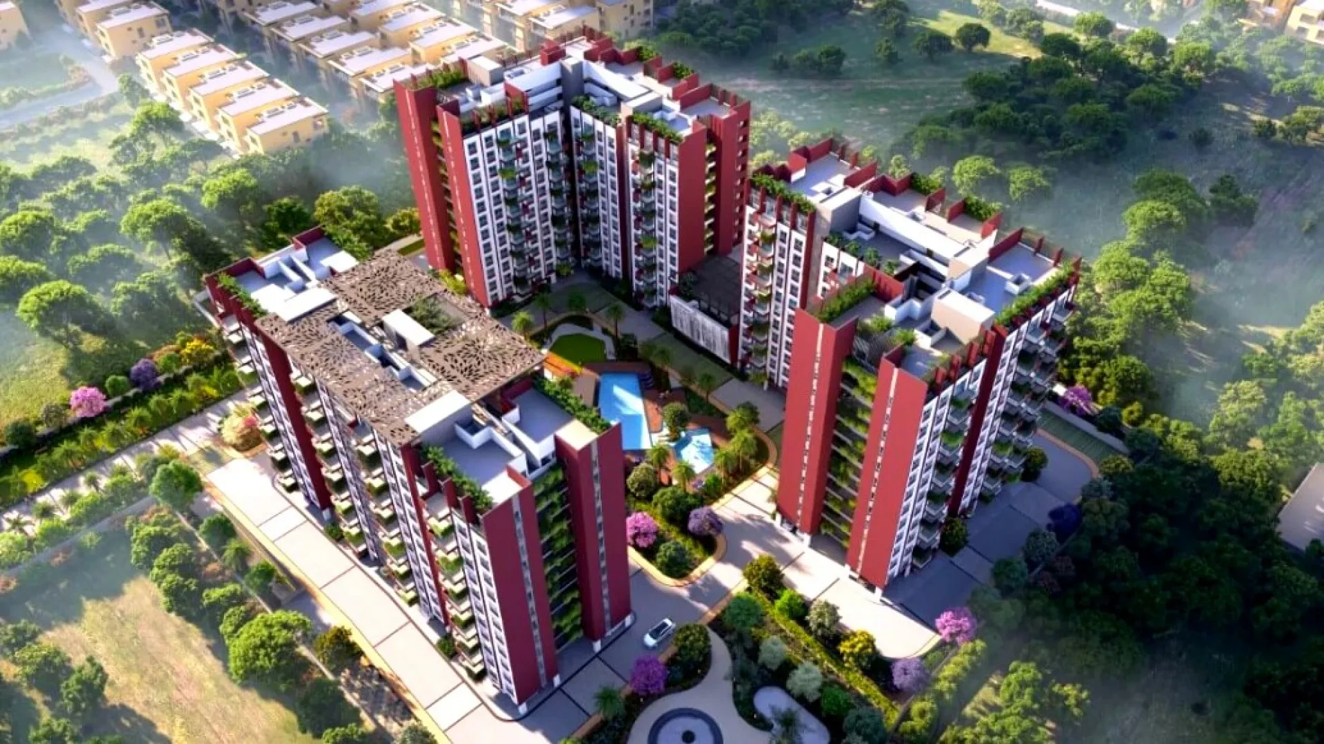 Cynosure Sunny Groves