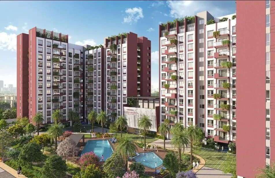 Cynosure Sunny Groves