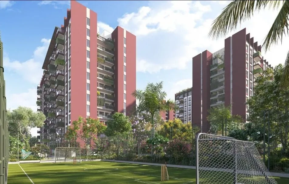 Cynosure Sunny Groves