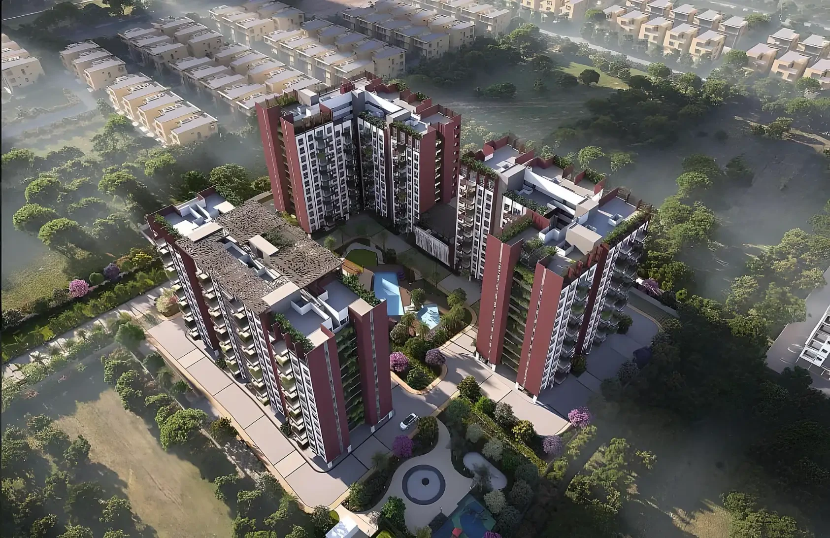 Cynosure Sunny Groves