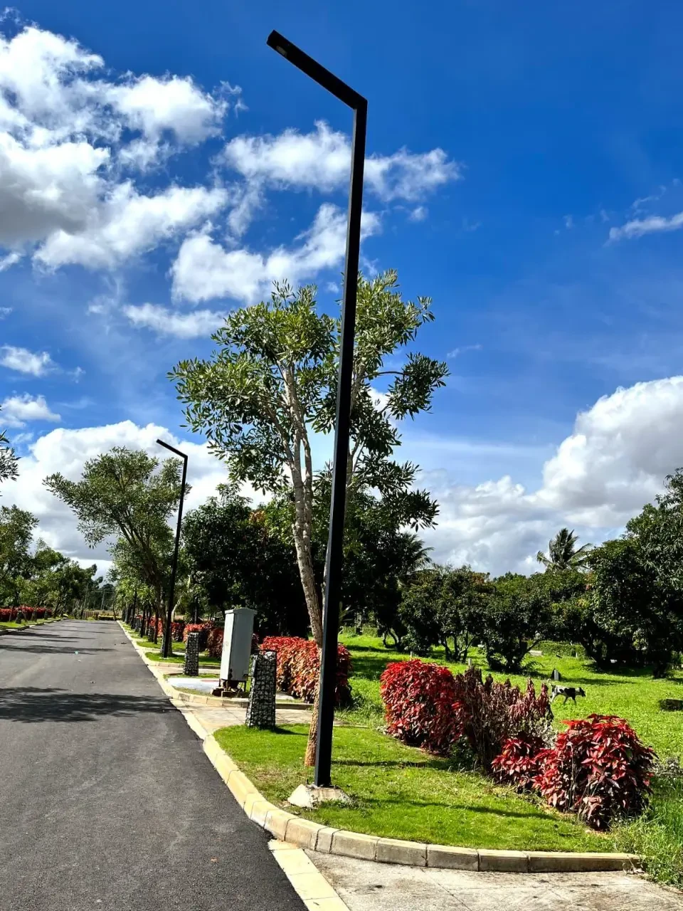 Earthsong by Manyata