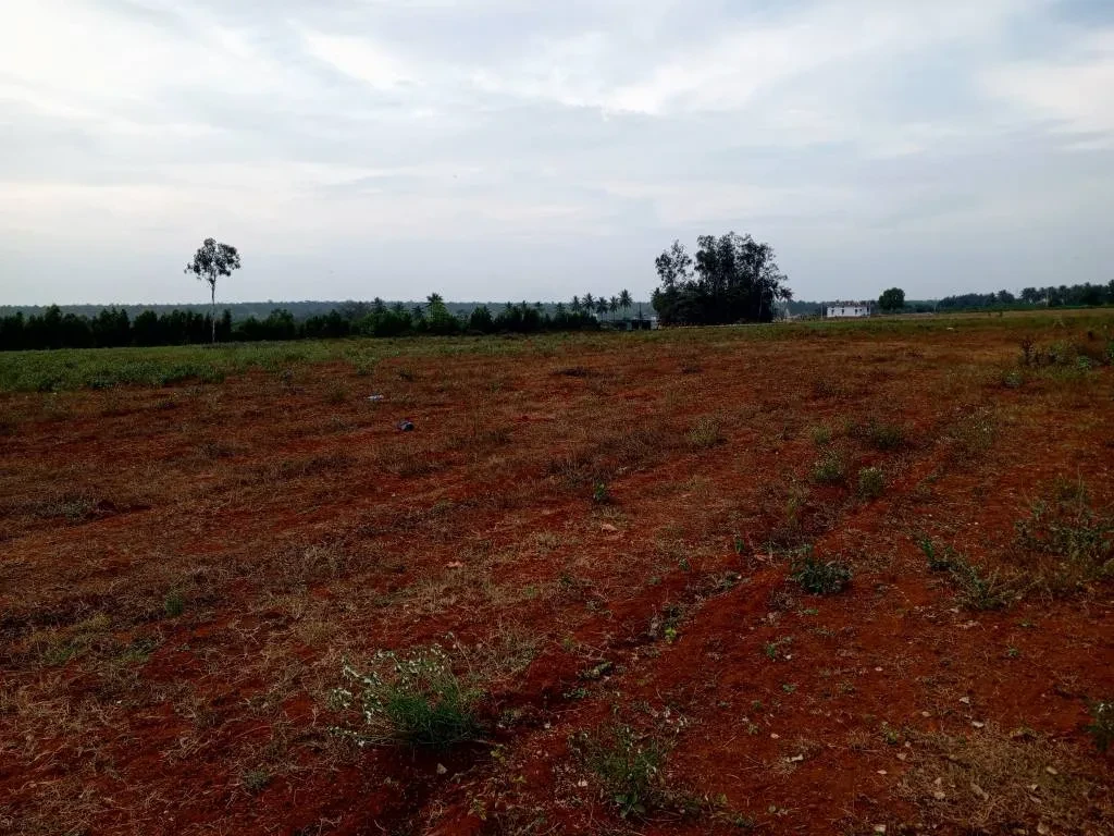 Hyland Imperial Pinnacle Premier