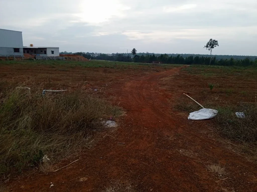 Hyland Imperial Pinnacle Premier