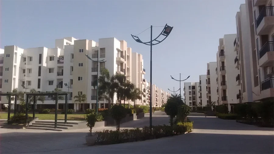 Jains Alpine Meadows