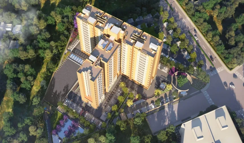 Kino At Brigade Orchards