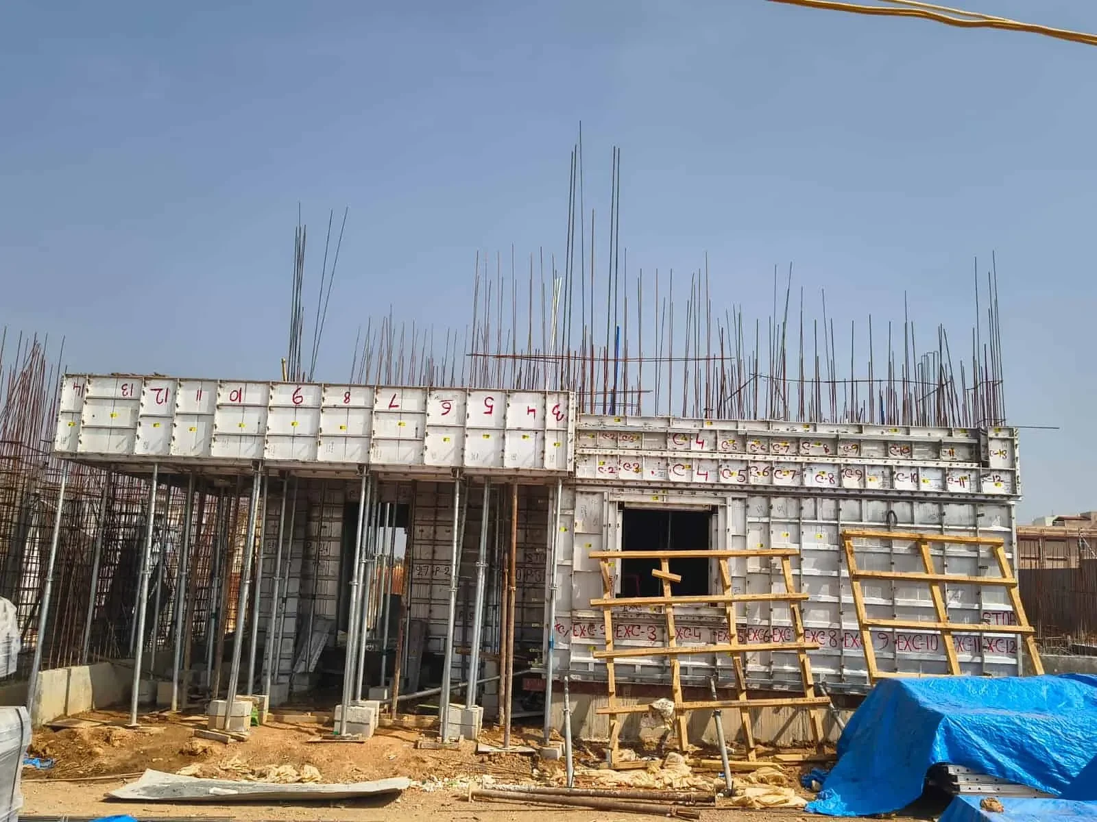 Konig Fortune County