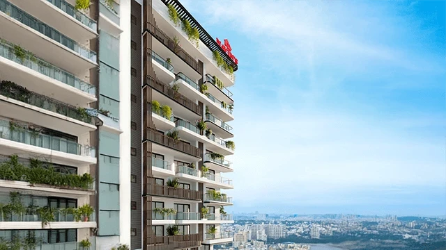 Navis Antheia Poetry