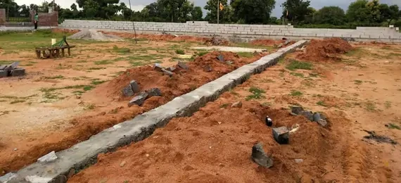 Nexuselite Arlington Harmony