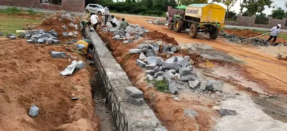 Nexuselite Arlington Harmony