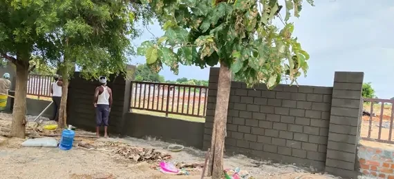 Nexuselite Arlington Harmony