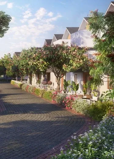 NVT Symphony of Orchards