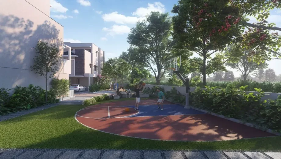 NVT Under the Open Sky