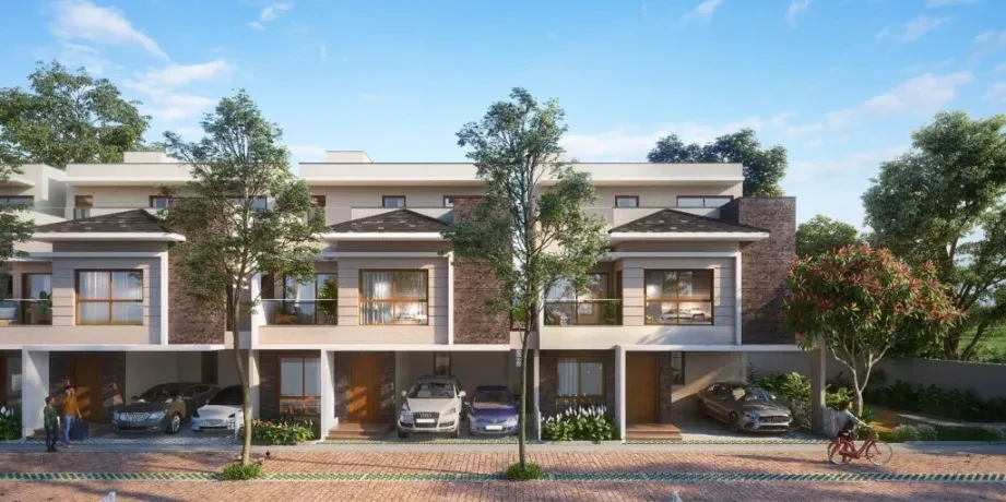 NVT Under the Open Sky