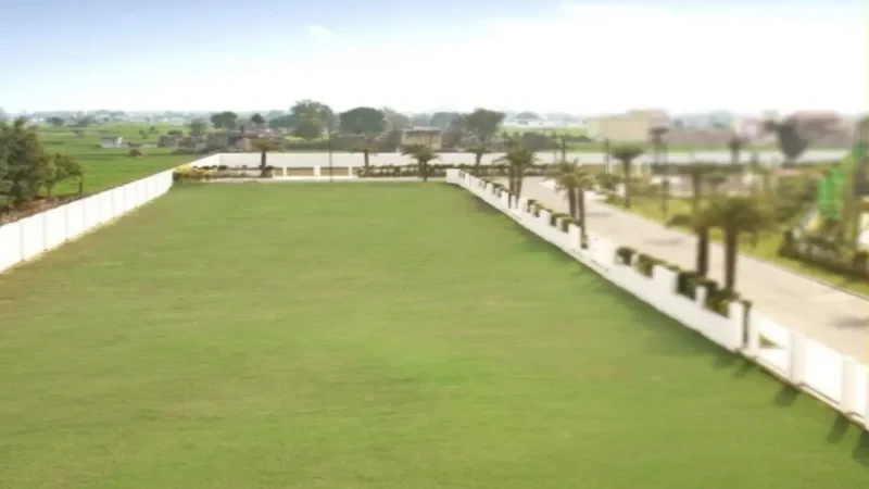 Urban Tree Onyx Enclave