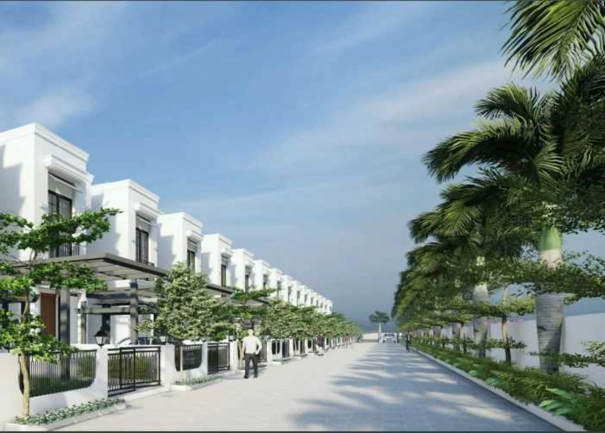 Palm Shores