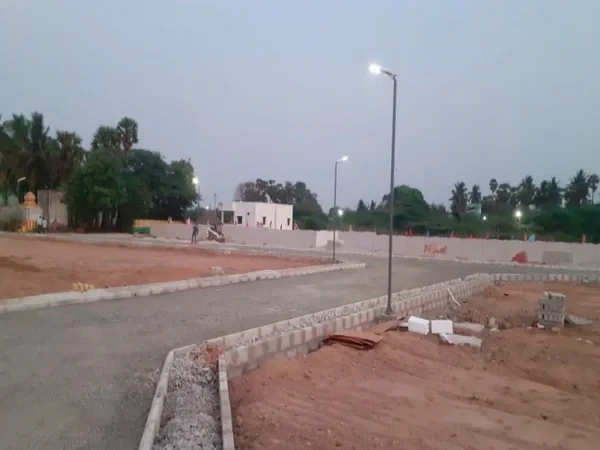 Urban Tree Pearl County-2