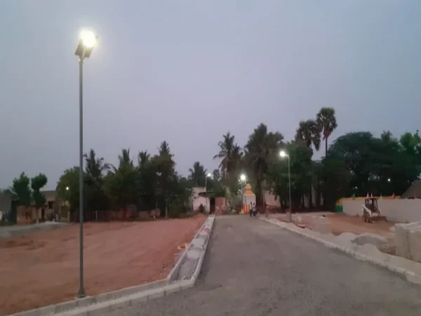 Urban Tree Pearl County-2