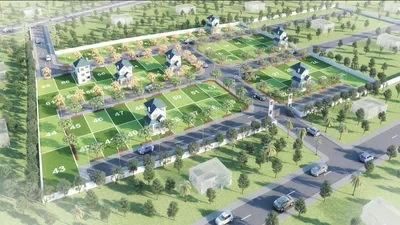 Urban Tree Pearl County-2