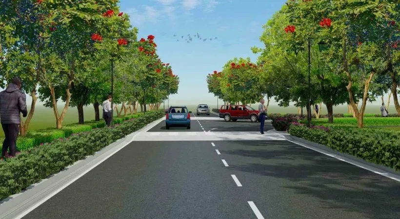 Prestige Autumn Leaves