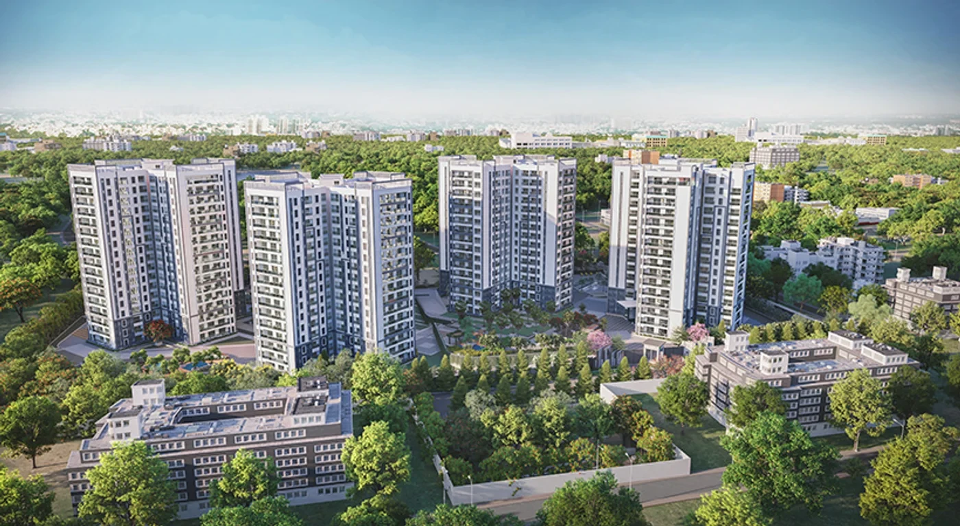 Prestige Pine Forest