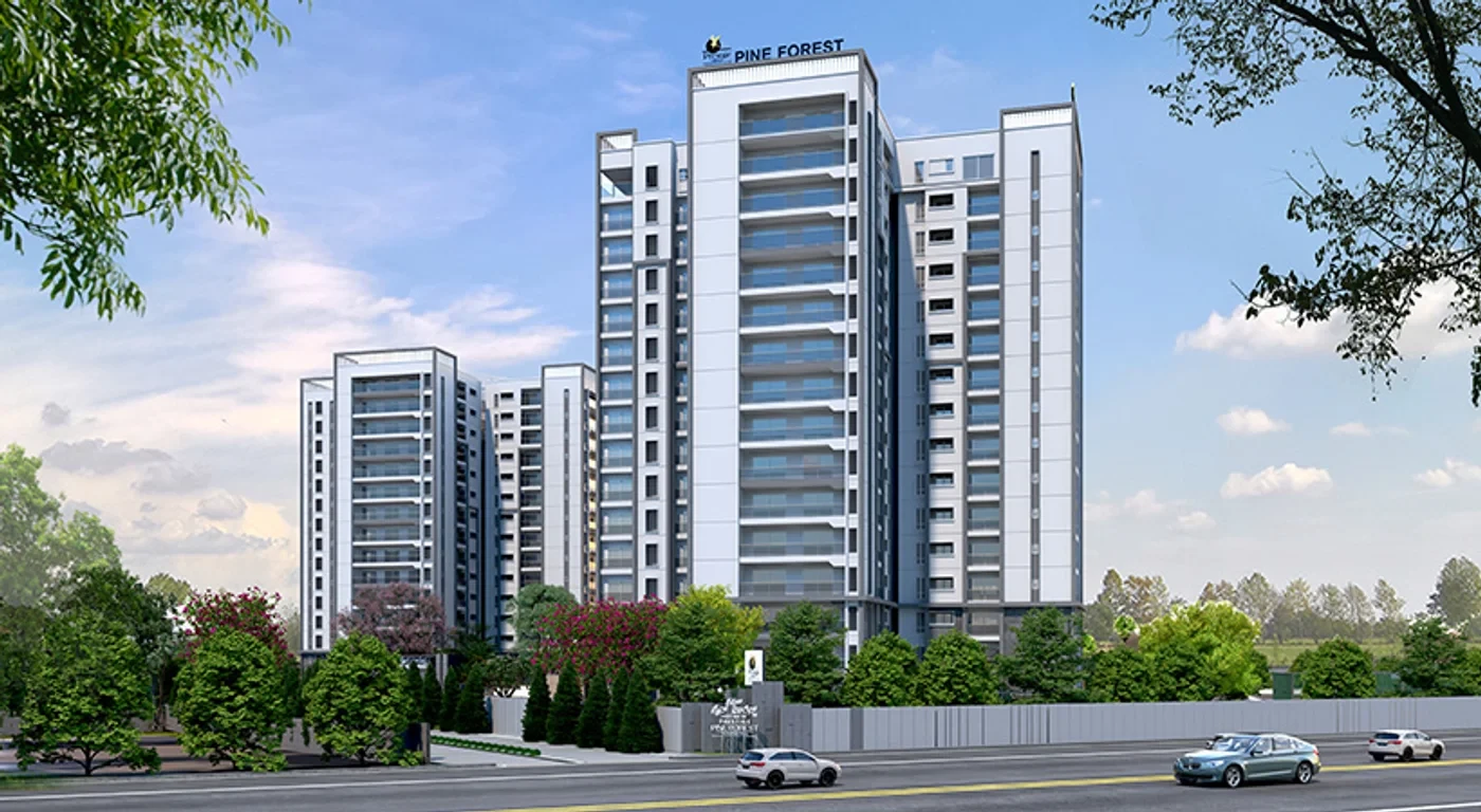 Prestige Pine Forest