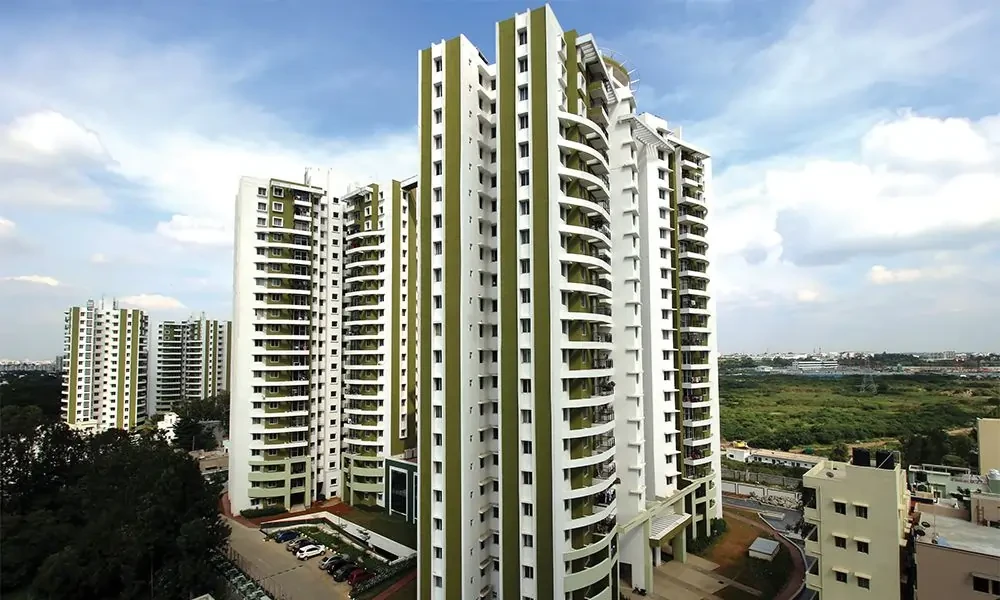 Purva Sky Wood