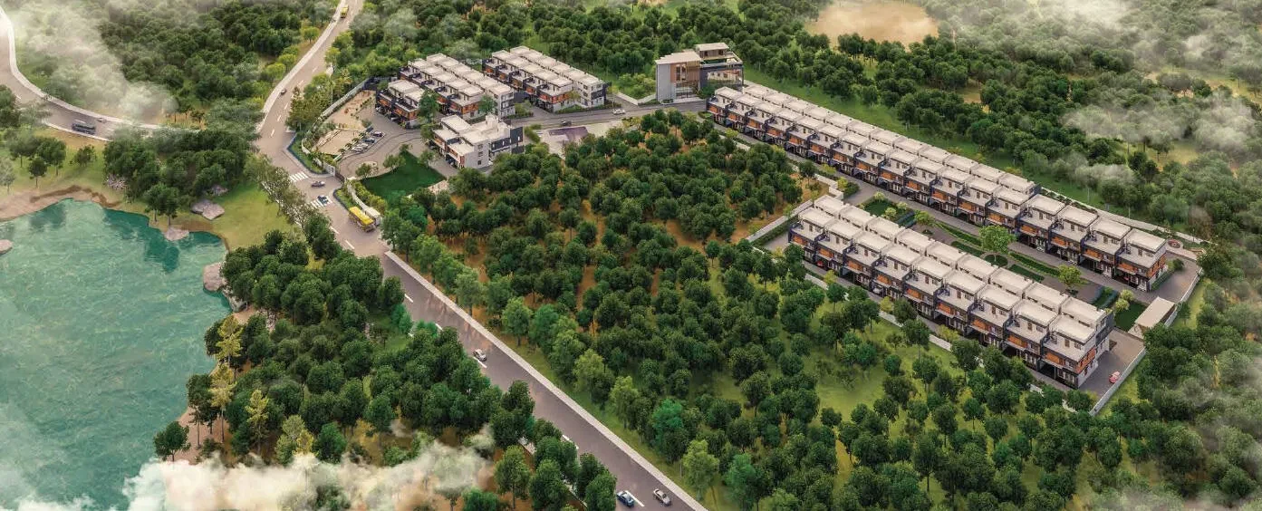 Saiven Mulberry Groves