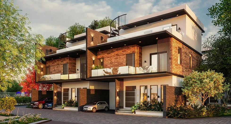 Saiven Mulberry Groves