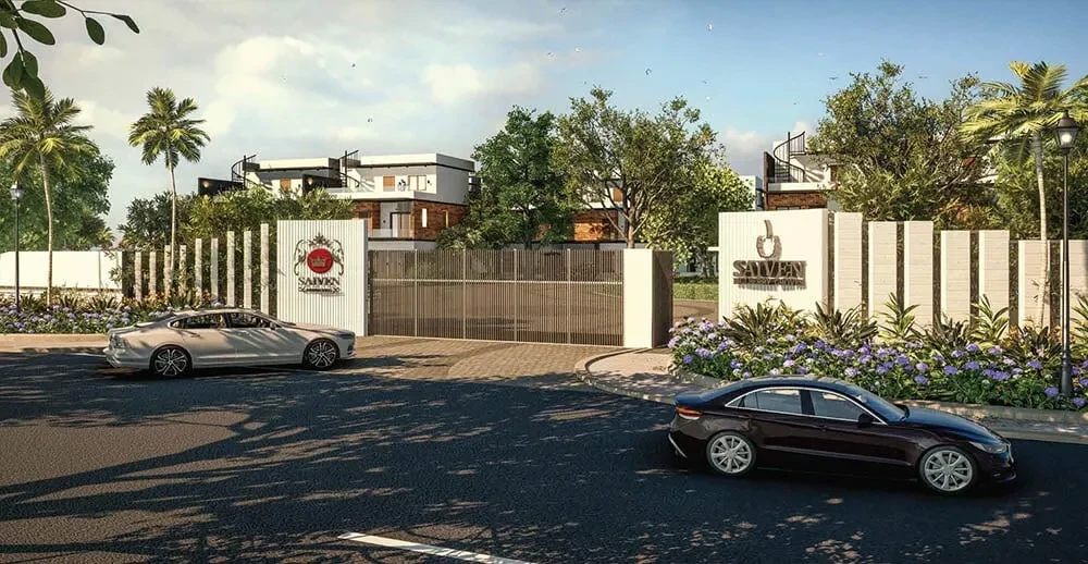 Saiven Mulberry Groves