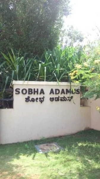 Sobha Adamus
