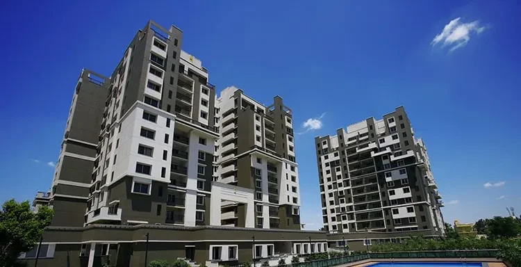 Sobha Petunia