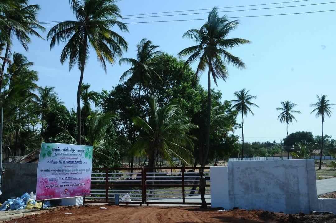 Somu's Nature's Nest