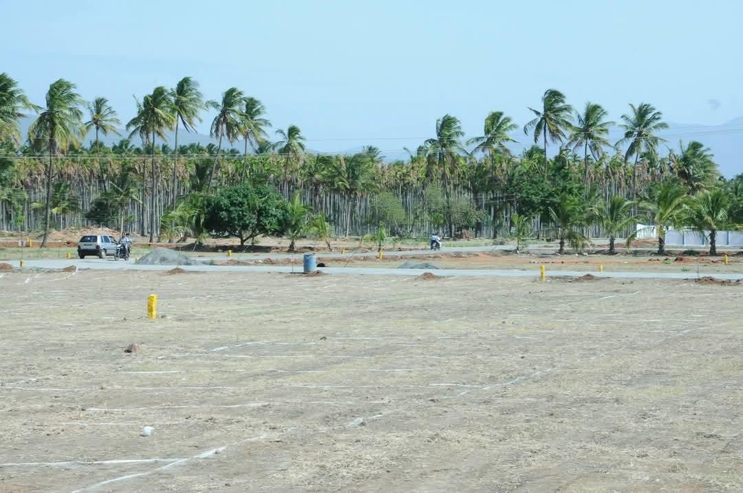 Somu's Nature's Nest