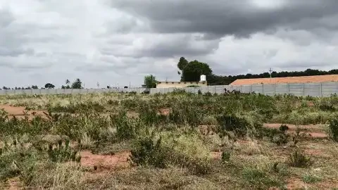 The Oyster in Your Palm by MH