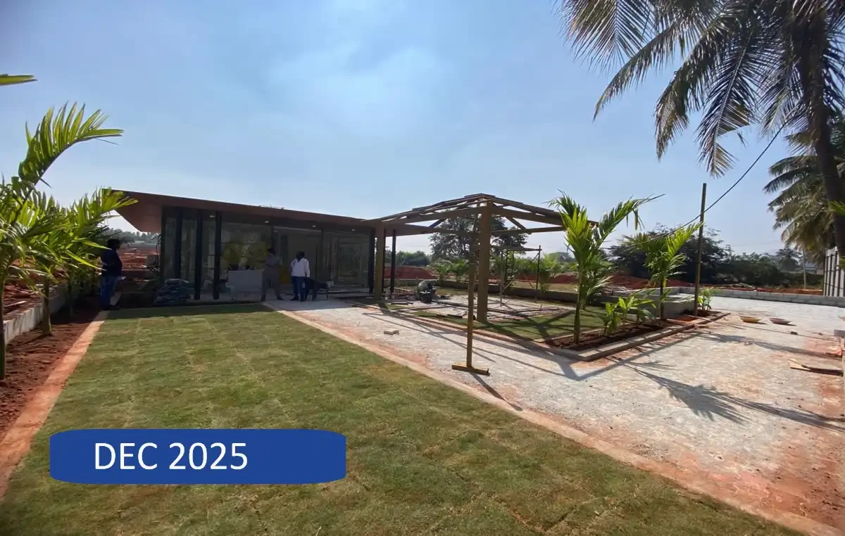 The Oyster in Your Palm by MH