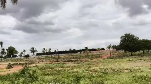 The Oyster in Your Palm by MH