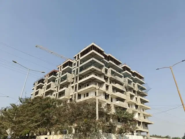 TNR Phool Deep Greens