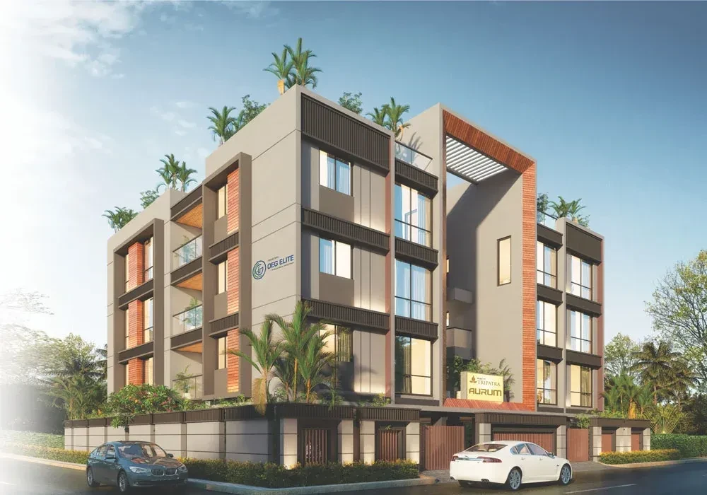 Oeg Elite Tripatra Aurum