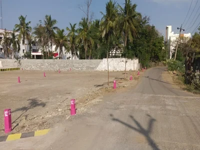 Vamanan Pink Avenue