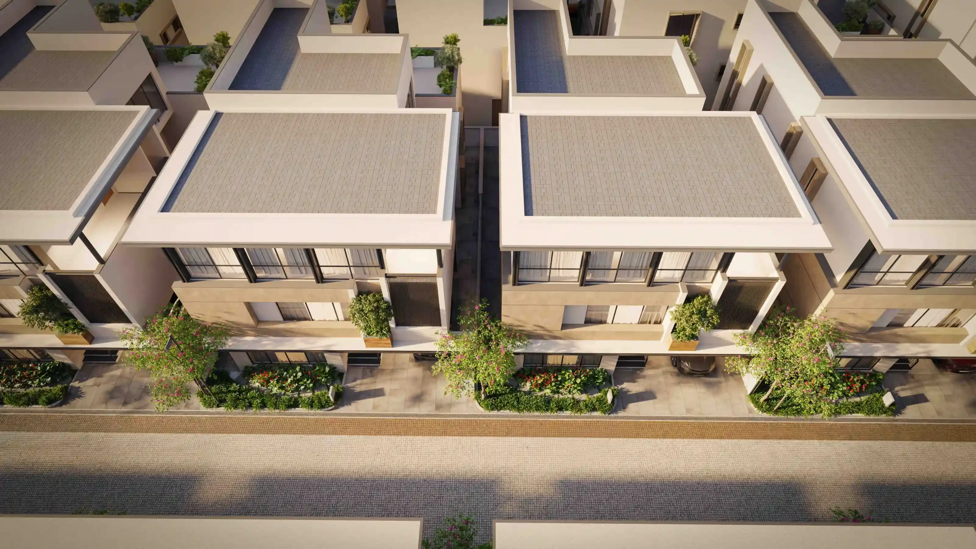 Zenora by Zen Vistas